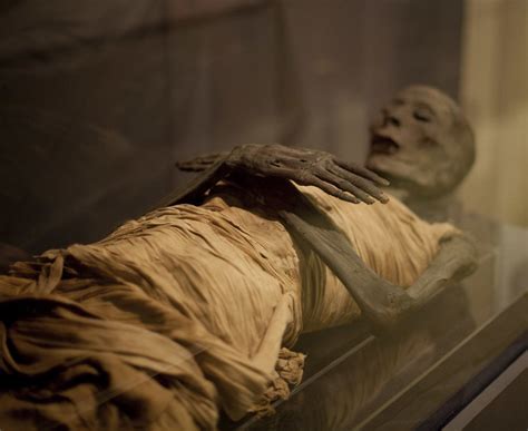 The Unrelenting Fury: Why the Curse of Mummified Remains Persists